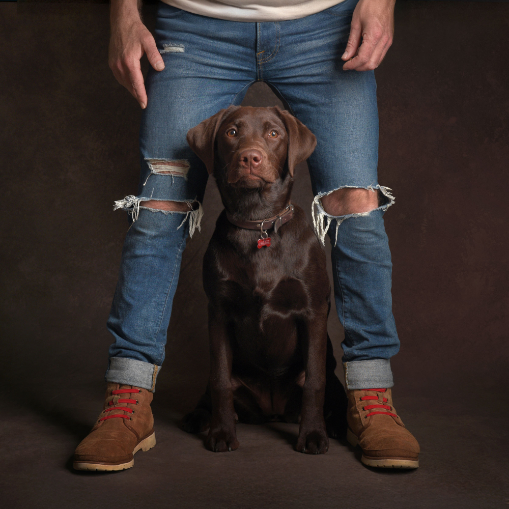 Pet Portrait