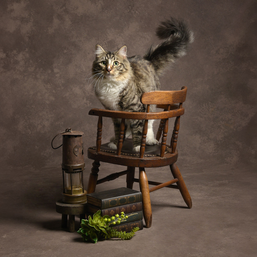 Pet Portrait